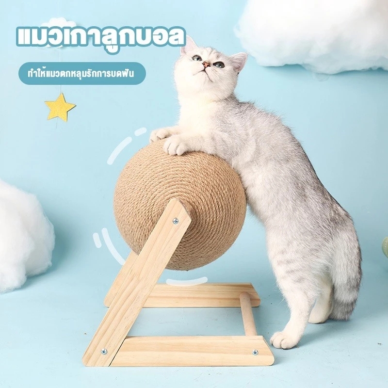 ลูกบอลลับเล็บแมว